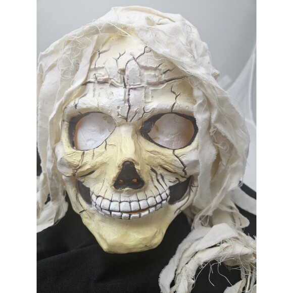 Vintage FUN WORLD DIV RIP Skull Skeleton Mask Long White Hair Halloween - Picture 4 of 10